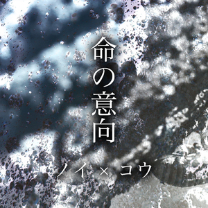 永久免费🔞🔞🔞d站视频
