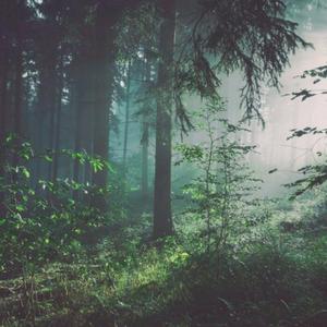 永久免费🔞🔞🔞d站视频
